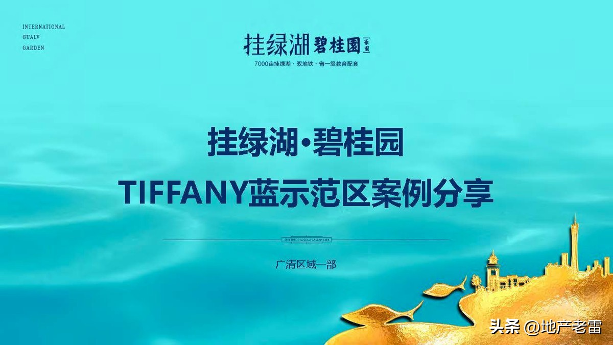 碧桂园精准发展方案,碧桂园的商品房改造方案