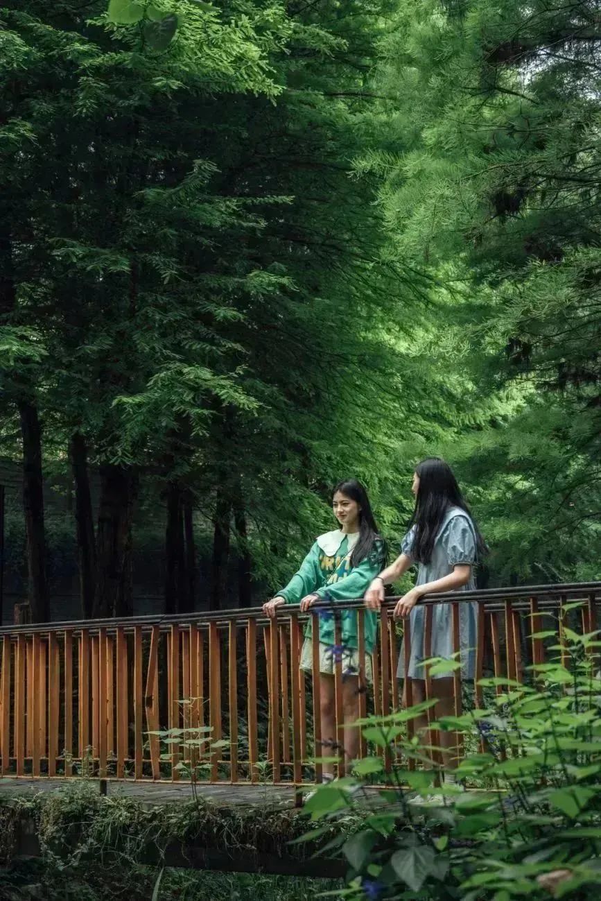 宜昌一座来电的城市,一个电话唤醒的城市