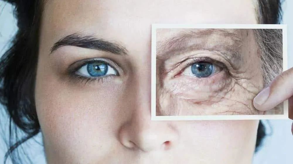 脸上皮肤不吸收护肤品,皮肤不吸收护肤品怎么办