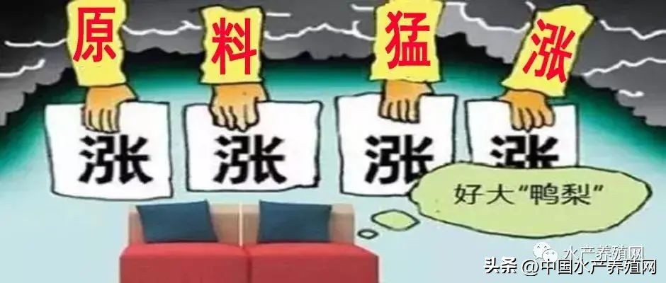 鱼粉饲料为什么暴涨,2024年的饲料鱼粉会涨价吗