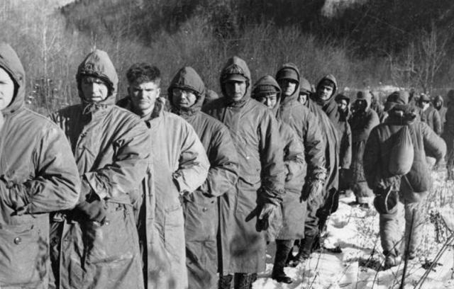 涓囧瞾鍐涗笢鍖楀啗,涓滃寳鍐涗竾宀佸啗