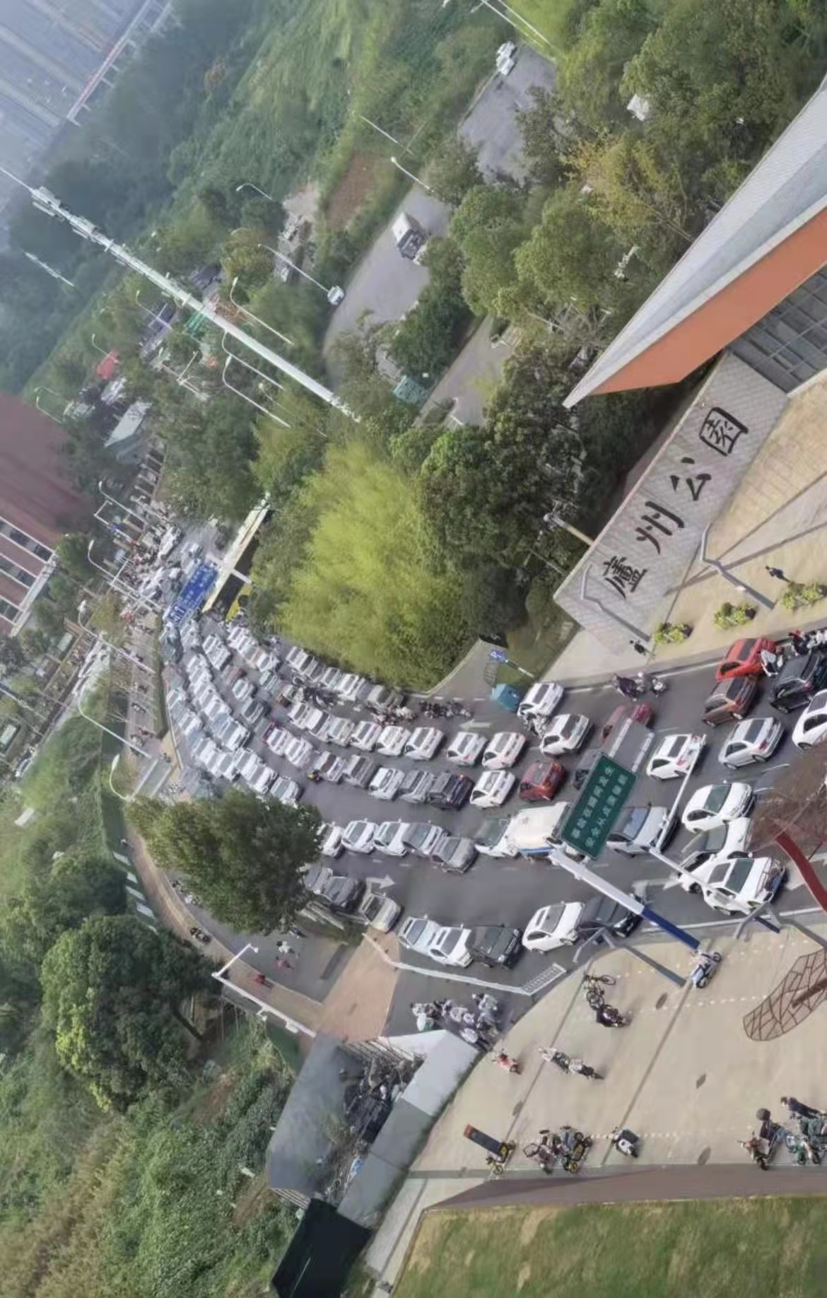 合肥南门小学森林城校区小学报名,合肥市南门小学森林城南区