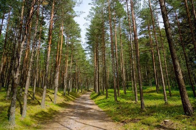 七种常见梦境的心理解析,心理暗示的秘密是什么