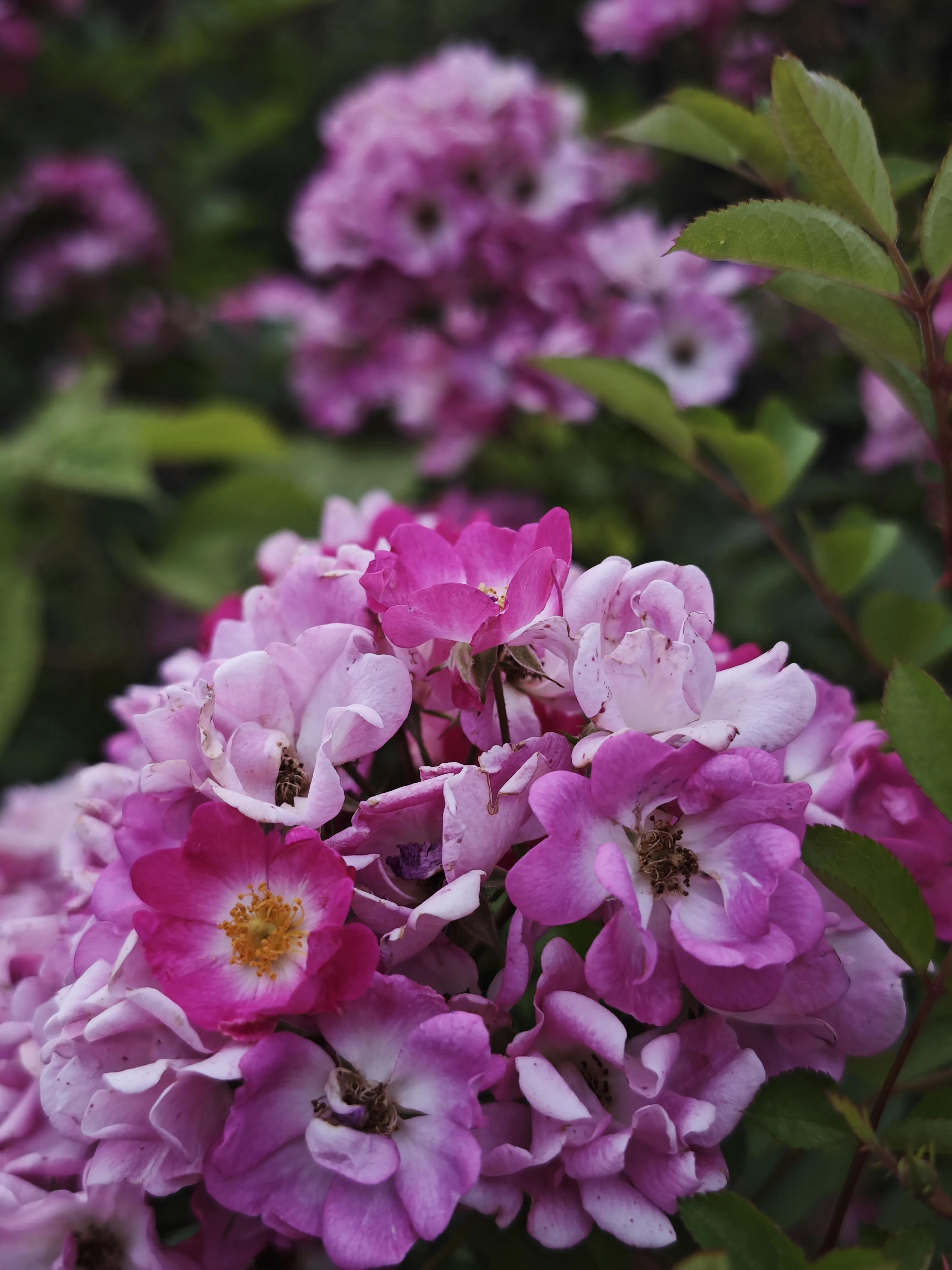 梯田里的绝美民宿欣赏,梯田观景最好的民宿