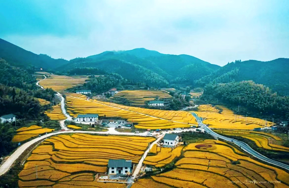 江西有哪些梯田风景区,江西梯田排名前十的梯田