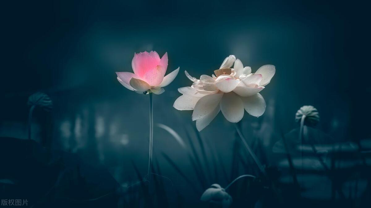 老婆,你不要误会,我只是想拿胸罩趋吉避凶