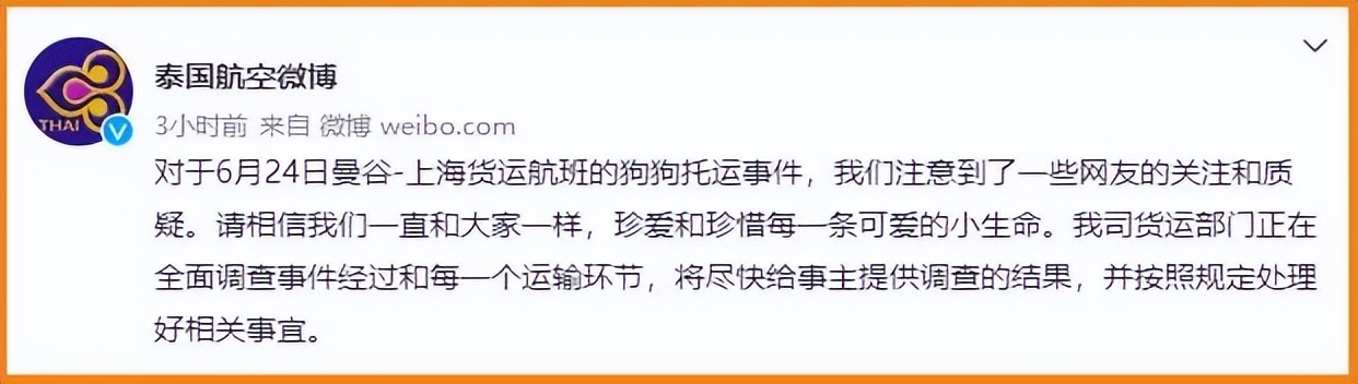 宠物托运出意外谁负责,宠物托运出问题是谁的责任