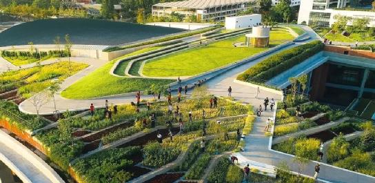 提升活力的景观设计,智慧体验景观设计