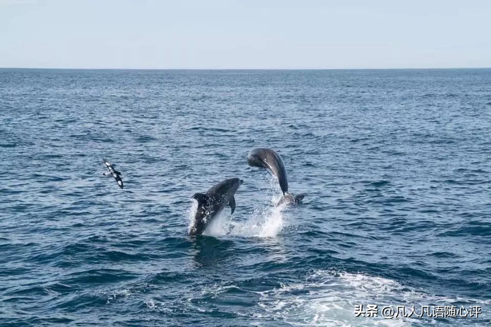 浪漫、纯净、刺激…我想要的精彩尽在新西兰