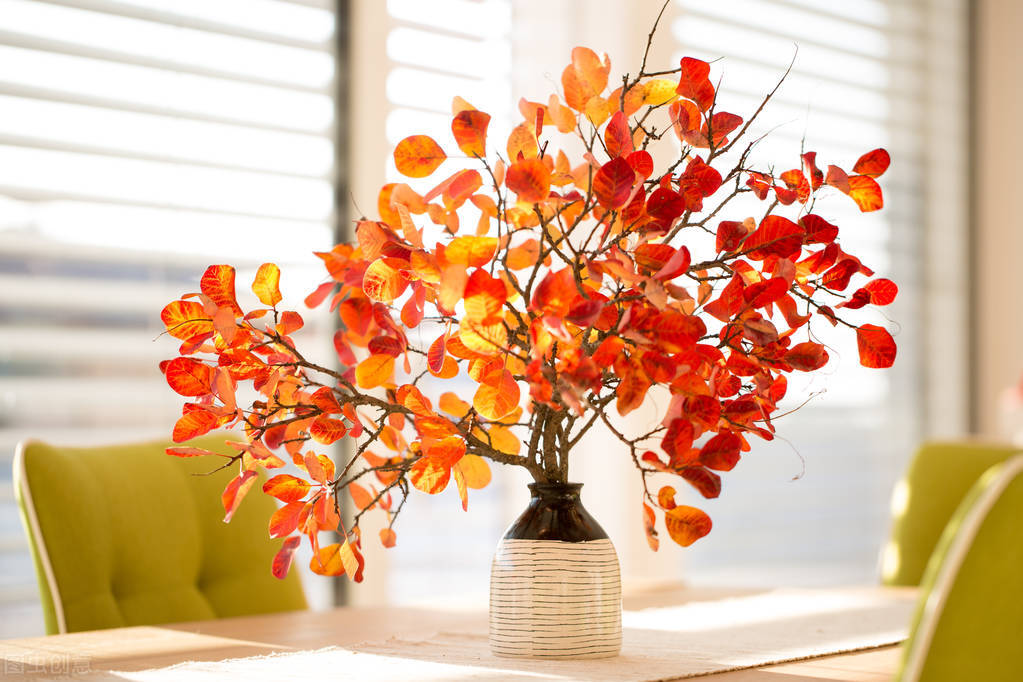 糖尿病人打完胰岛素低血糖怎么办,糖尿病打胰岛素血糖还是降不下来