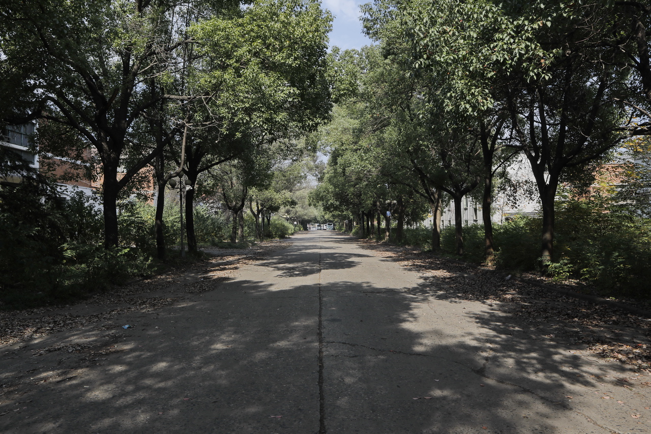 襄阳三线厂名单,襄阳汽车轴承股份有限公司网站