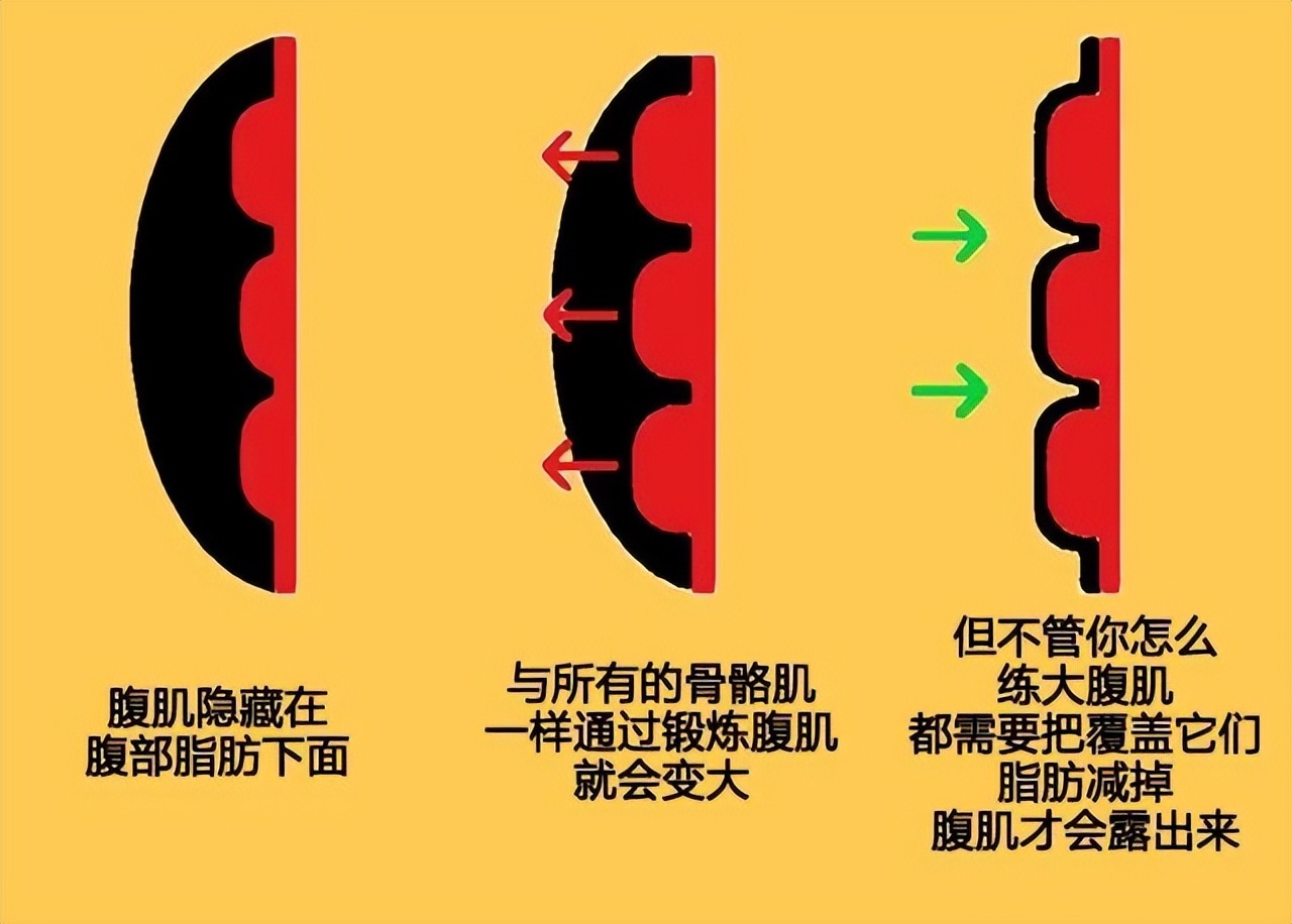 瘦大腿瘦屁股最快方法的视频,男人瘦大腿瘦屁股最快方法