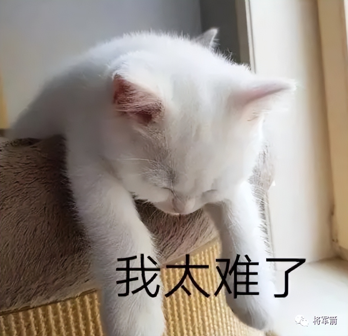 电力困局,四川水电面临的困境