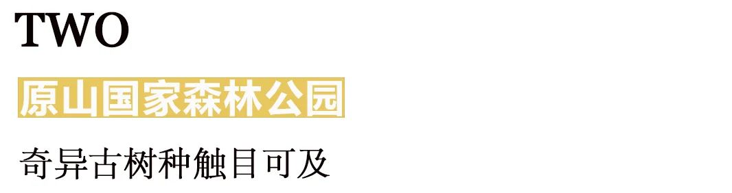 幸福旅程，今天，免费玩！（附宠粉大礼包，让快乐加倍）