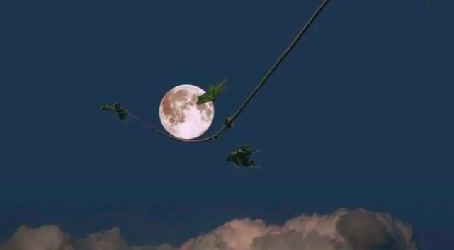 关于中秋的古诗词名句大全简短,传诵千古的中秋诗词