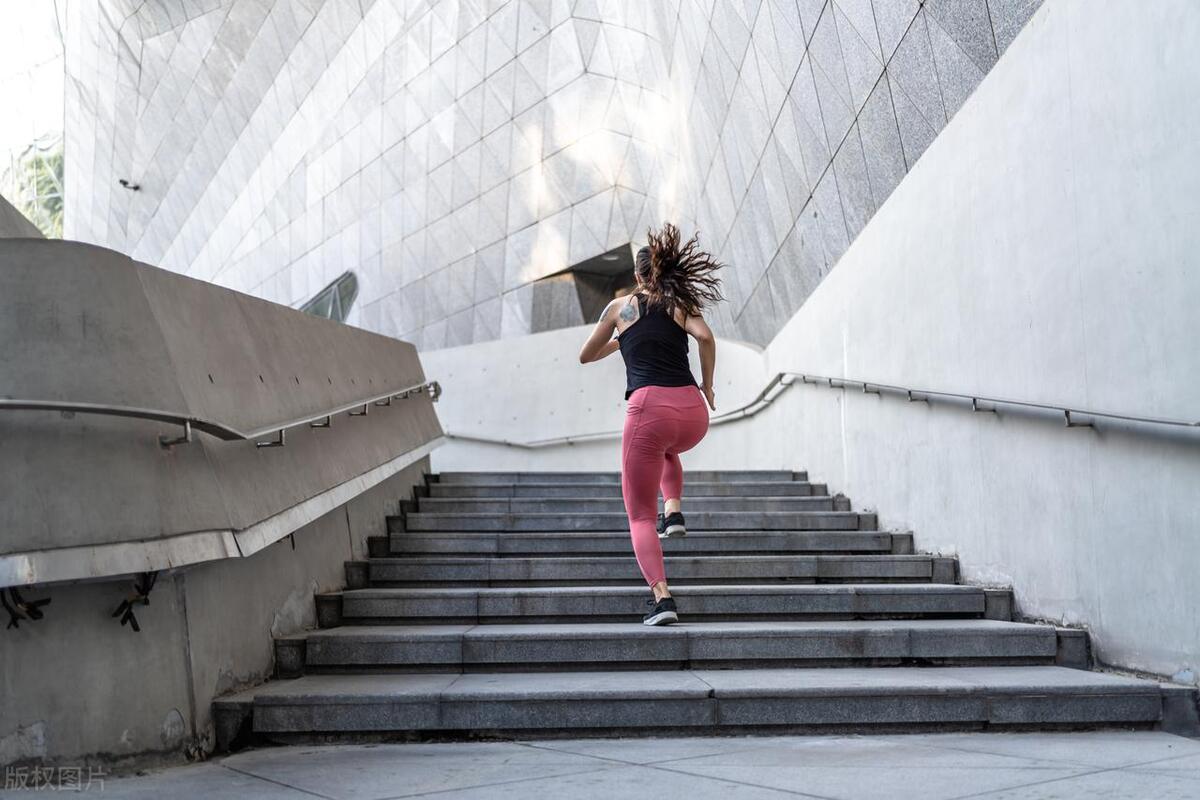 竞技文小说排行榜,竞技类言情小说推荐