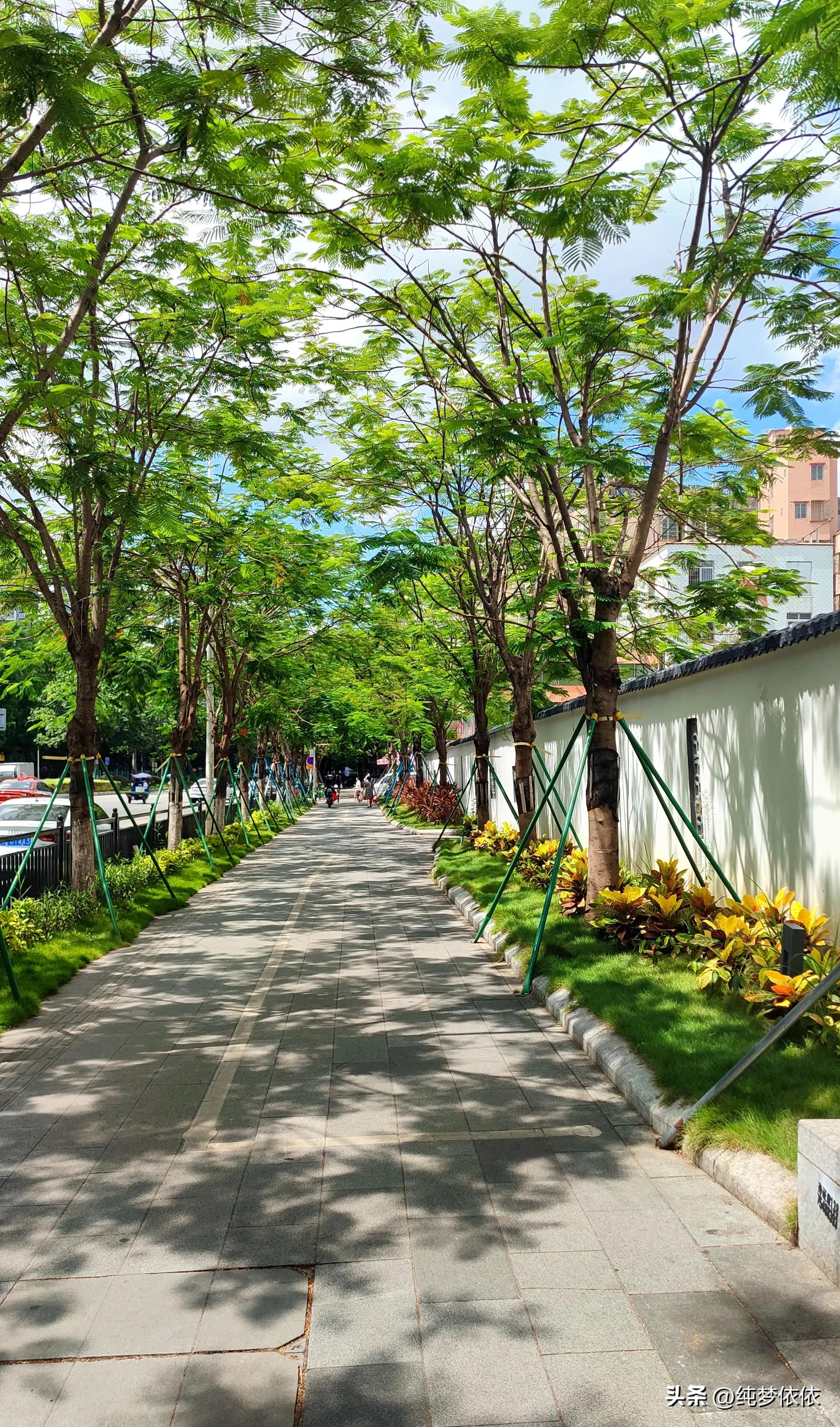 夏天随手一拍就是最好的画面,这张照片勾起了夏天的美好时光