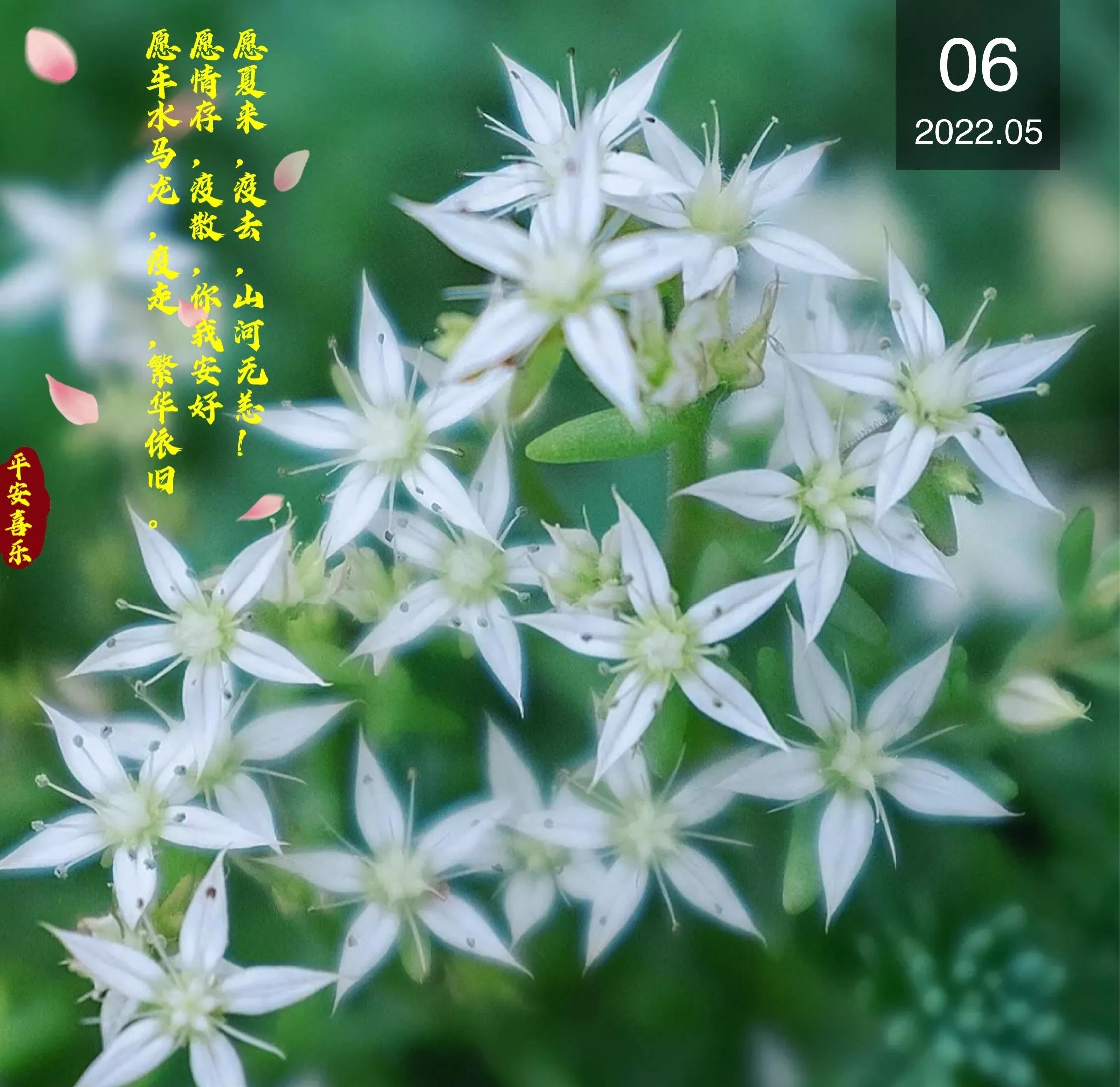 差二个月40年工龄养老金如何算,1972年出生41年工龄养老金是多少