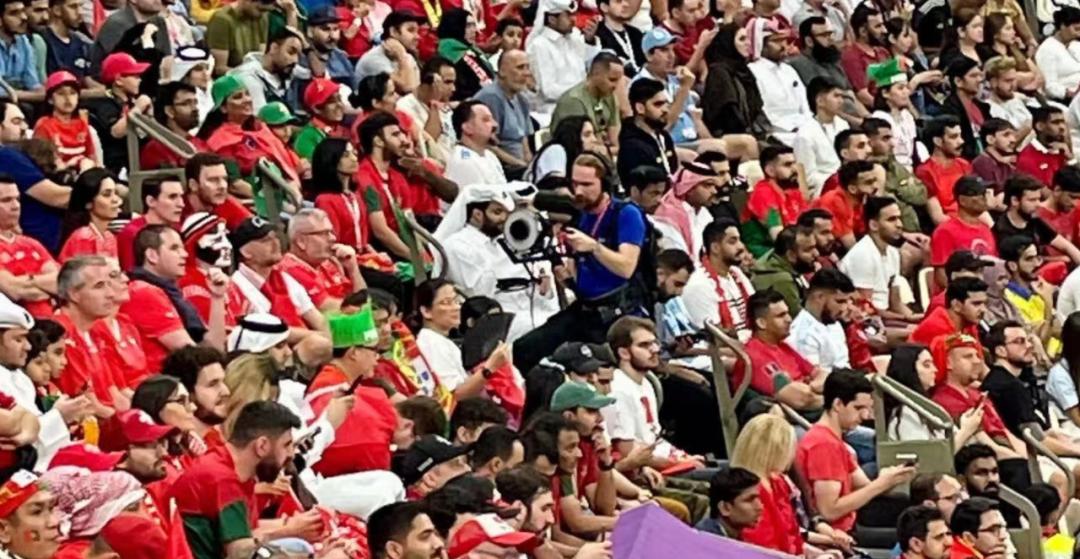 足球上帝之手世界杯,上帝之手世界杯冠军