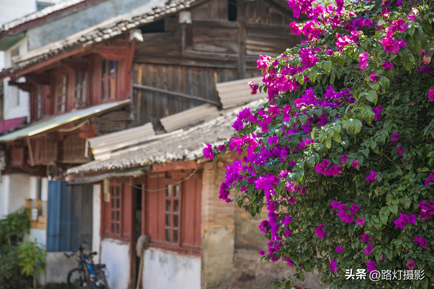 普洱与昆明谁更适合养老,普洱和弥勒哪个更适合养老居住