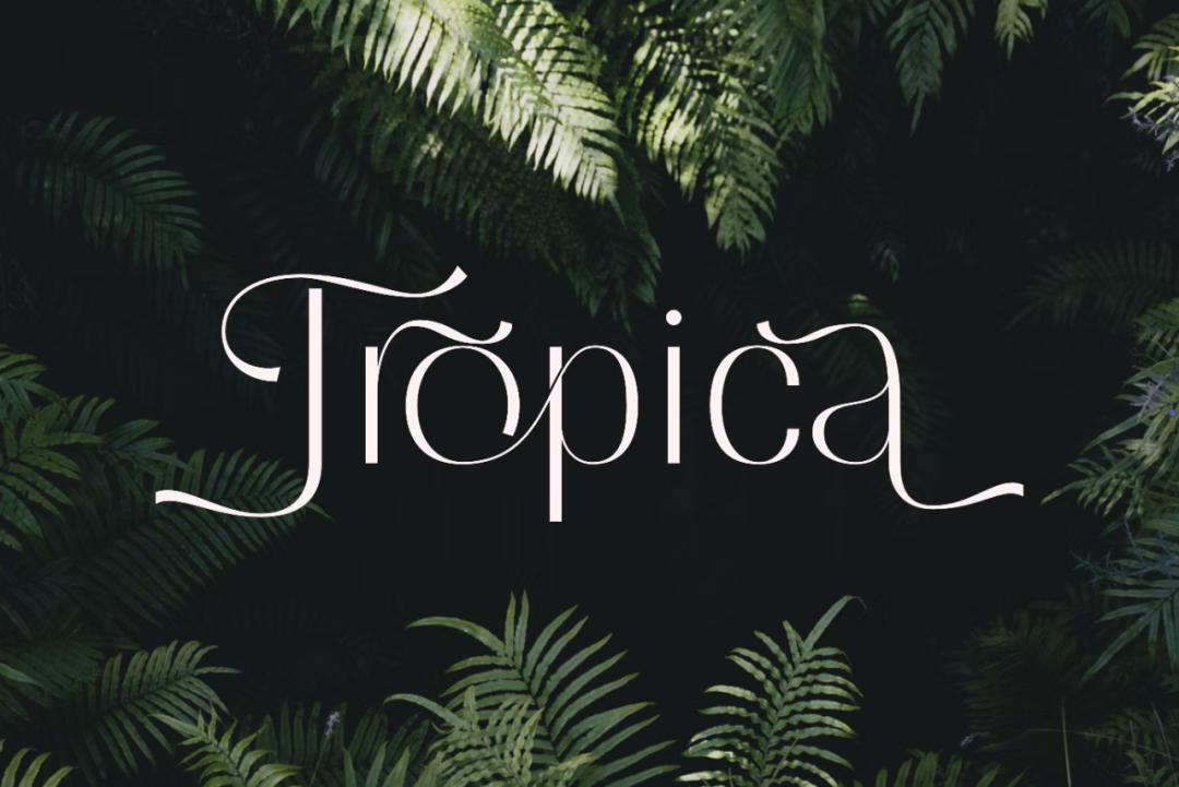 ttf纯英文好看字体,ttf英文字体