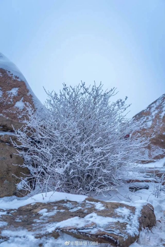 2022年春节放假时间出炉!这份旅行攻略请查收