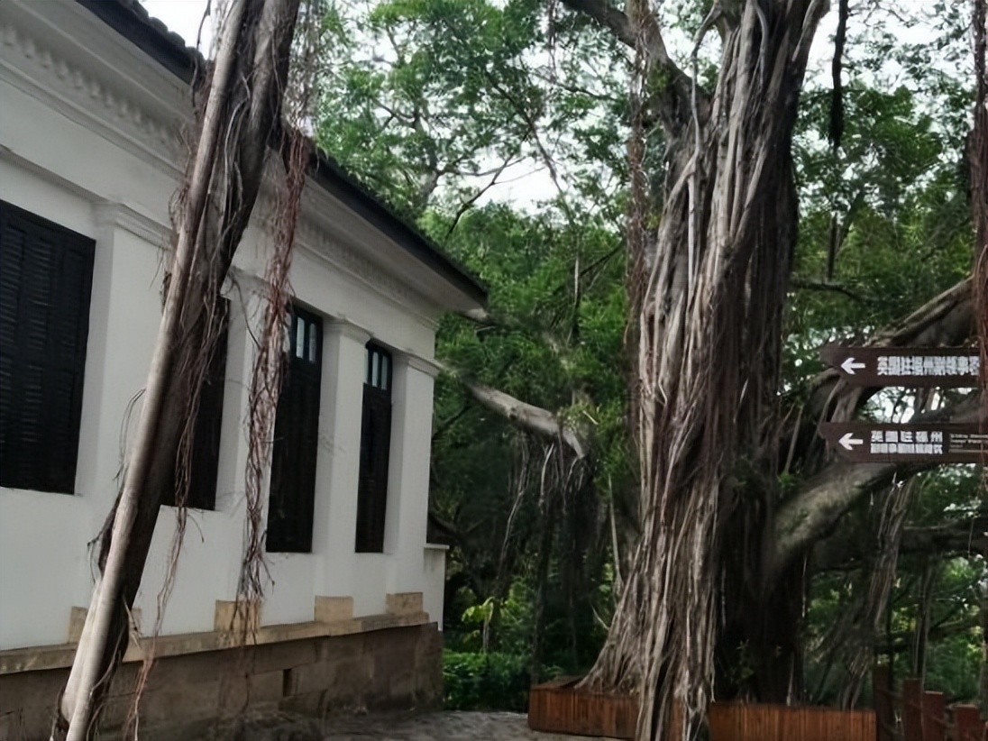 福建好玩的海边推荐,福建海岛旅游攻略自由行