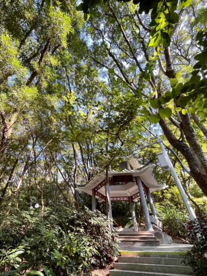 深圳福田免费公园排名前十名,福田中心公园游玩攻略