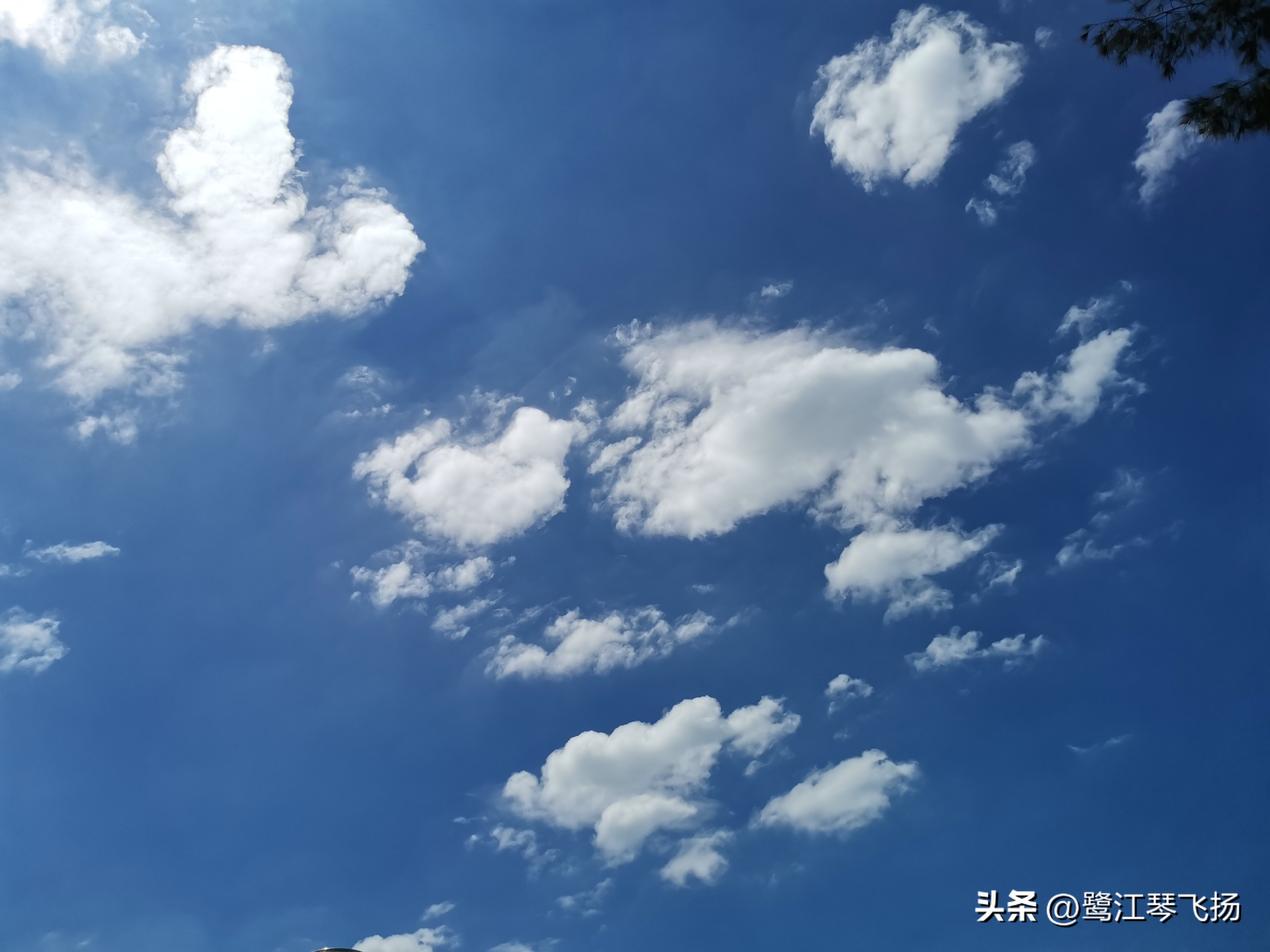 厦门最近桑拿天气,阴雨天厦门好去处