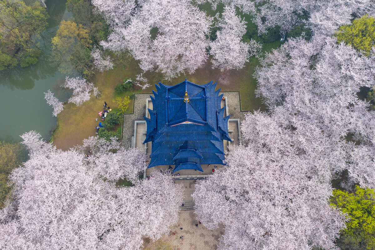 无锡秋季旅游景点攻略推荐,无锡赏秋游玩攻略