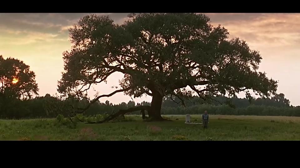 阿甘正传体现出的美国社会价值观,阿甘正传影片中真实事件有哪些