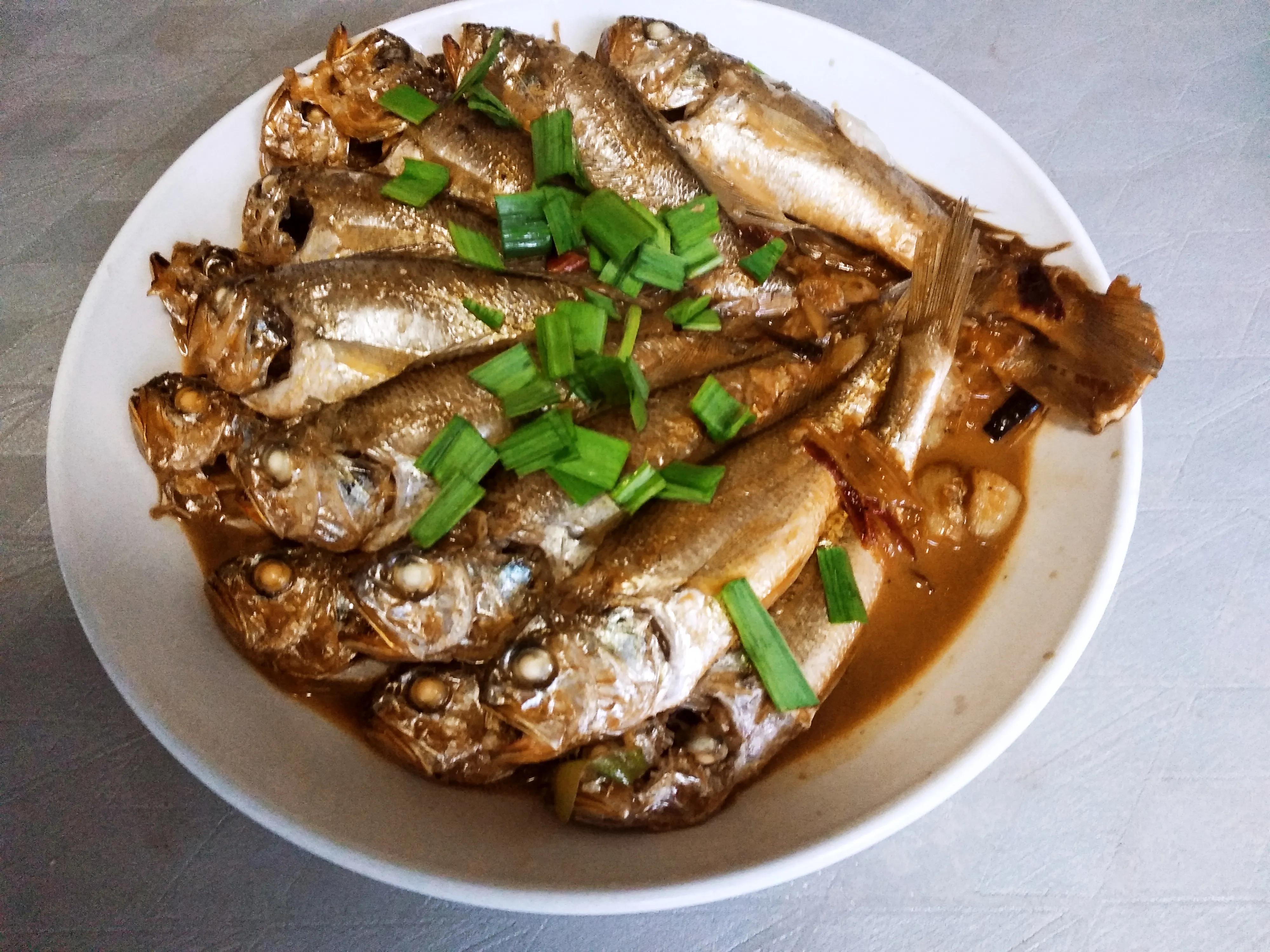 这4种海鱼将大量上市,十种最便宜的海鱼