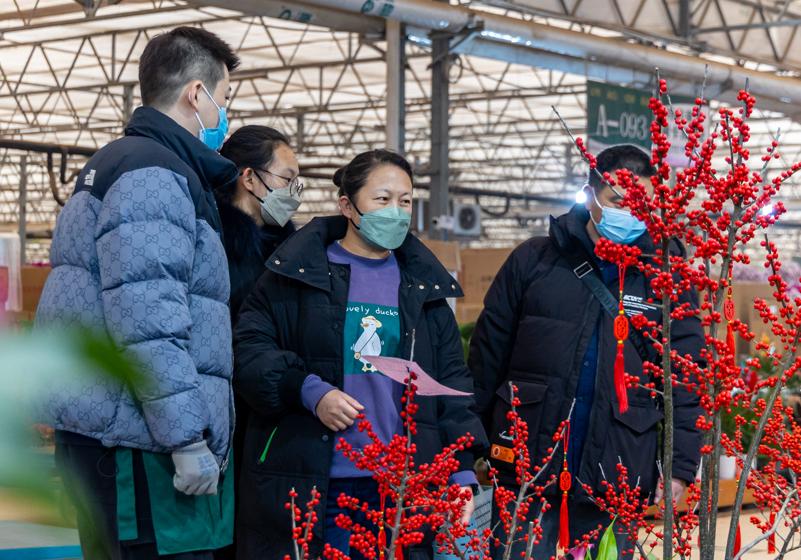 今日花卉市场价格郑州,郑州花卉市场年宵花