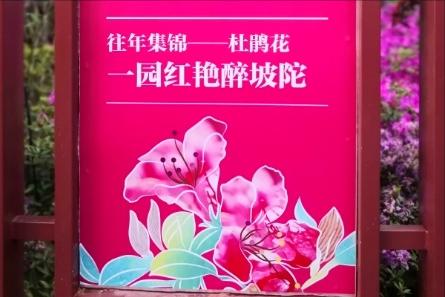 凤凰公园景色美,常州凤凰公园美篇