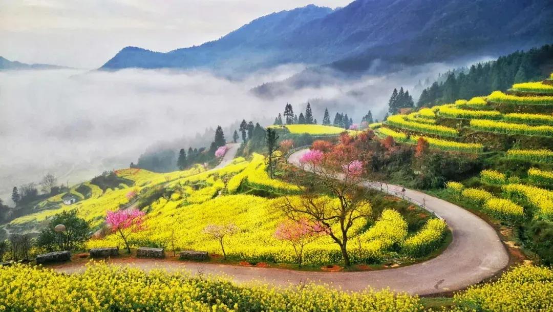 话健康聊养生,健康走步6000步