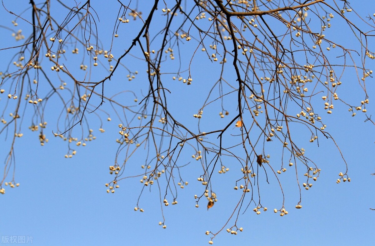 你善于适度认怂，有时候能避免*麻大**烦，职场之路走得更顺
