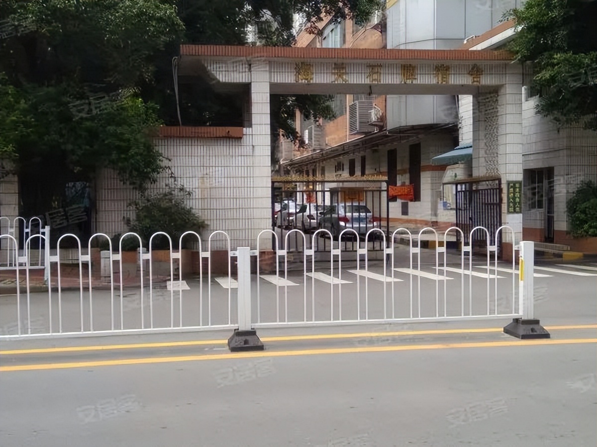 粤剧、醒狮、武术、科技……TA有39个宝藏社团？