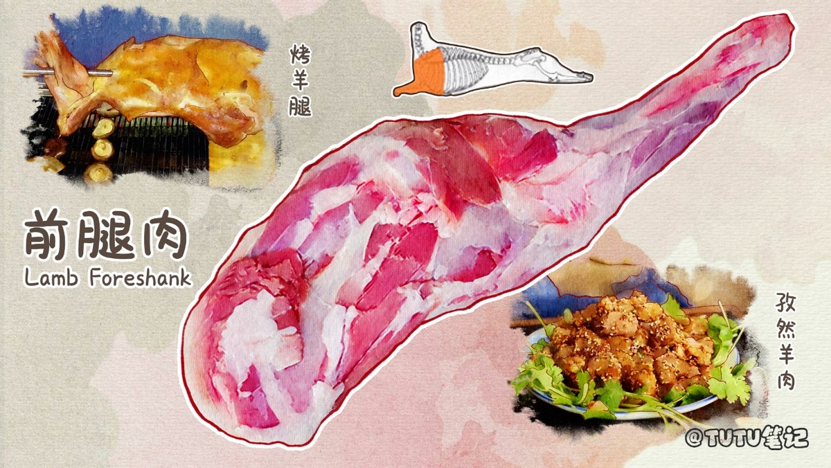 常见羊肉吃法和分类,史上最全羊肉各部位吃法