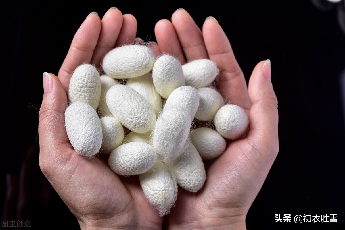 夏日田园风光的诗100首,初夏田园风光的诗句