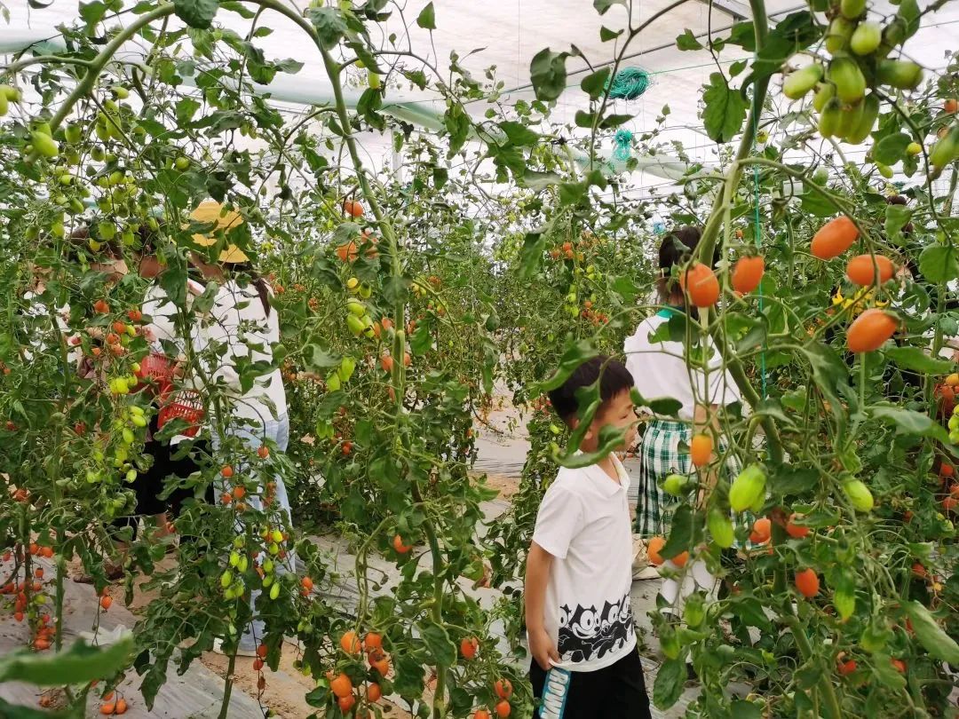 【上饶文旅周报202321】“5·19”中国旅游日，来大美上饶，趣游一夏！