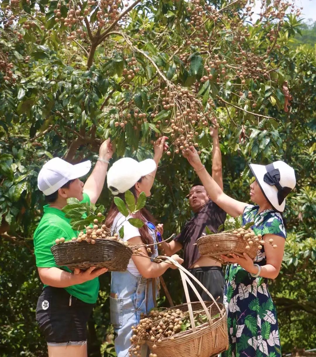 深山老林创业,从大山走出的创业之路