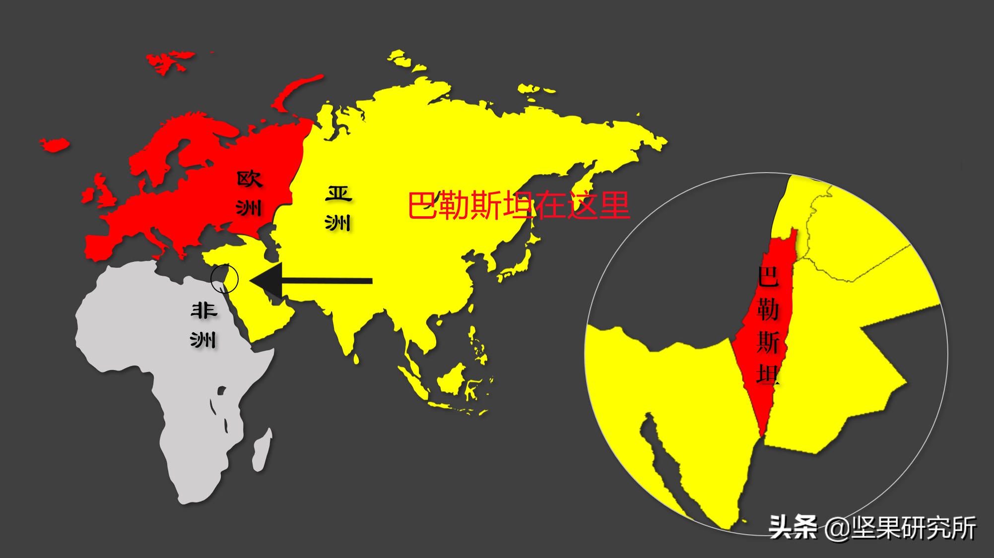 巴西松子的果是什么样的,巴西松子与东北松子营养有区别吗