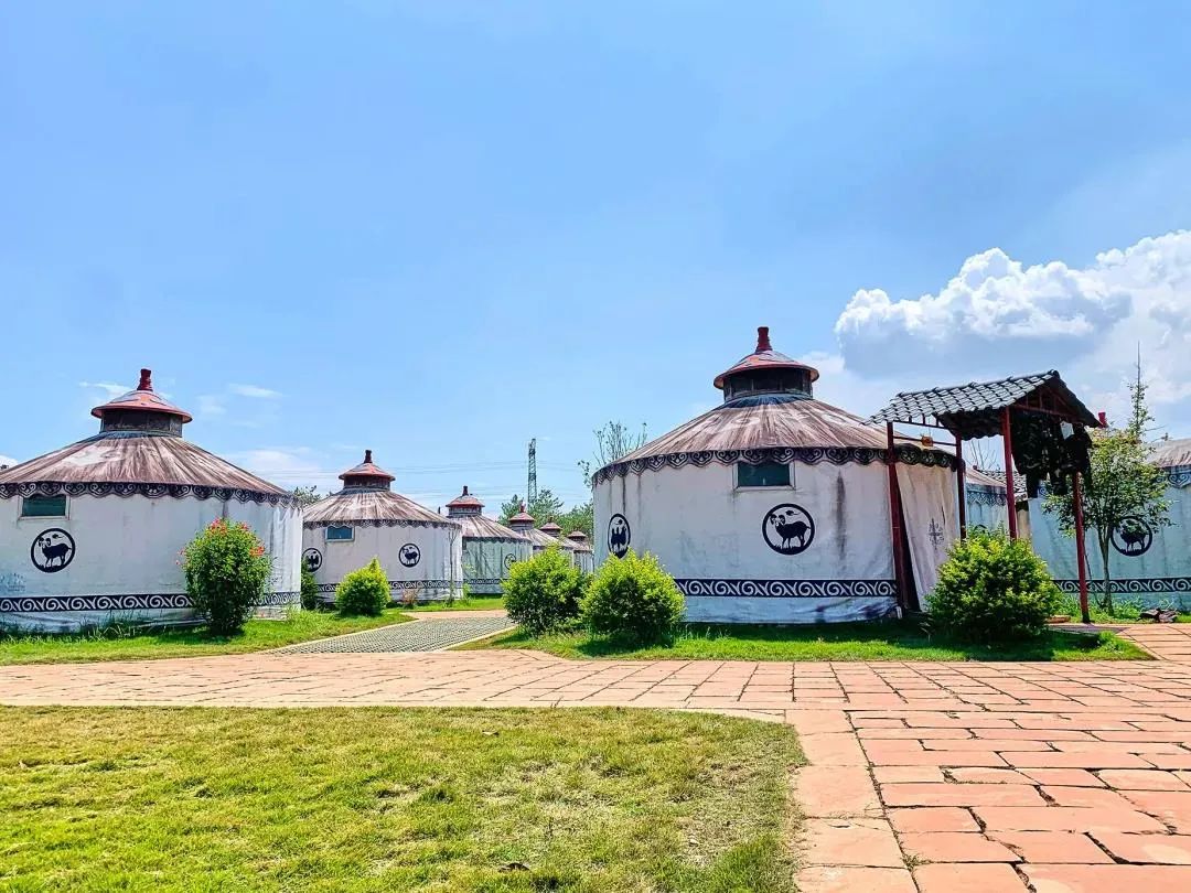 旅行攻略广东民宿,春节期间韶关小众私人民宿推荐