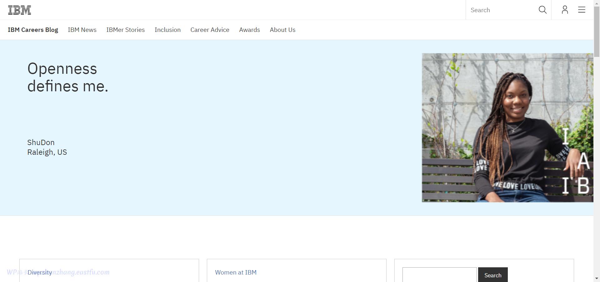 wordpress缃戠珯妗堜緥,wordpress钁楀悕妗堜緥