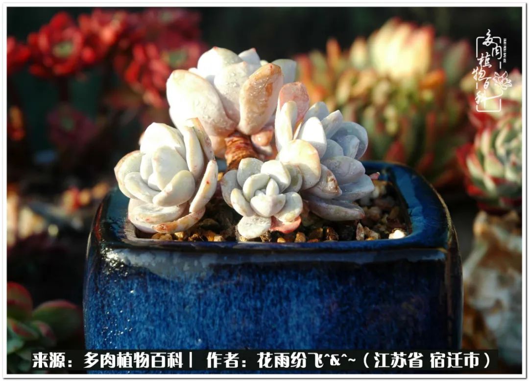 快乐的童年时光视频,回味快乐的童年美好的时光