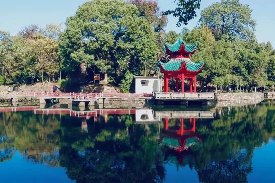 中南大学法学院非全日制,中南大学法学院排名