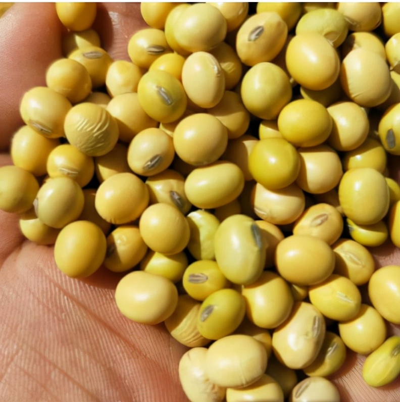 蛊是什么时候存在的,蛊到底是什么