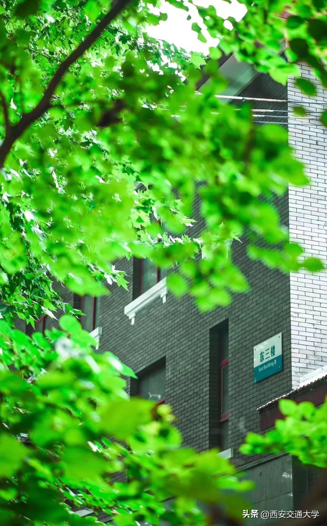 交大的校园，一眼心动！