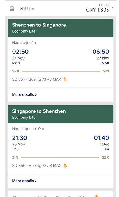 超值低价飞机票,新航特价票