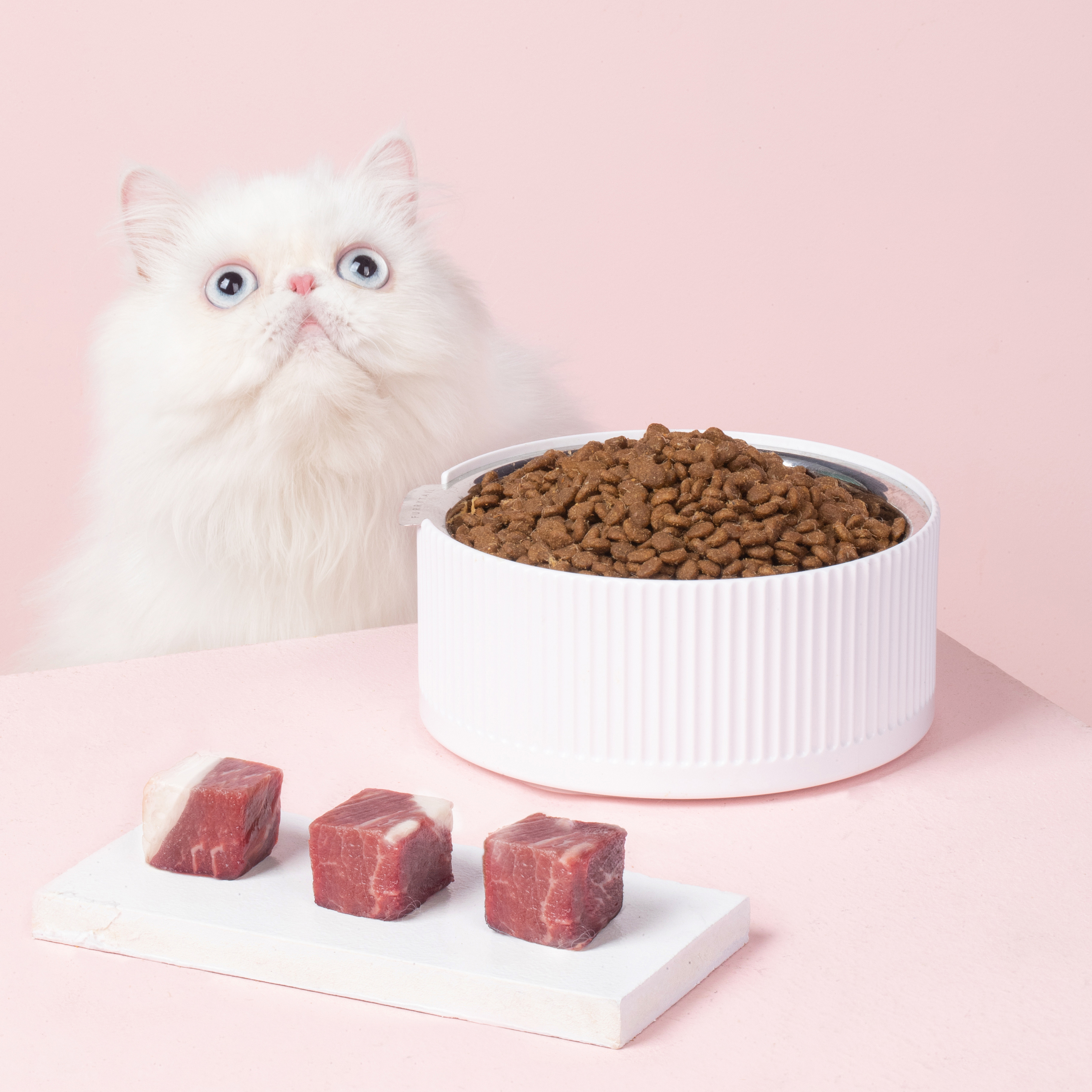 5-10斤的猫咪应该吃什么牌子猫粮,5款猫咪高质量猫粮新手选粮攻略